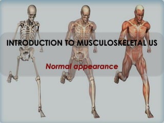 Introduction to msk us normal appearance pdf | PDF