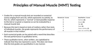 Mmt Normal Values Introduction_to_Musculoskeletal_Assessment ...