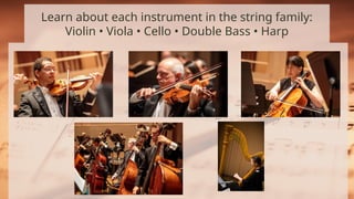 Introduction to Musical Instruments.pptx