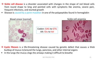 MC-PhD/2017/03 11
 Sickle cell disease is a disorder associated with changes in the shape of red blood cells
from round shape to long and pointed cells with symptoms like anemia, severe pain,
frequent infections, and stunted growth
 Disease is caused by a point mutation in one of the polypeptides found in hemoglobin
Blood smear (normal) Sickle cell anaemia
Codon: GAG to GTG
AA: Glu to Val
 Cystic fibrosis is a life-threatening disease caused by genetic defect that causes a thick
buildup of mucus in/around the lungs, pancreas, and other internal organs
 In the lungs the mucus clogs the airways making it difficult to breathe
 