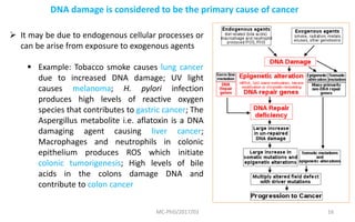 MC-PhD/2017/03 16
DNA damage is considered to be the primary cause of cancer
 It may be due to endogenous cellular processes or
can be arise from exposure to exogenous agents
 Example: Tobacco smoke causes lung cancer
due to increased DNA damage; UV light
causes melanoma; H. pylori infection
produces high levels of reactive oxygen
species that contributes to gastric cancer; The
Aspergillus metabolite i.e. aflatoxin is a DNA
damaging agent causing liver cancer;
Macrophages and neutrophils in colonic
epithelium produces ROS which initiate
colonic tumorigenesis; High levels of bile
acids in the colons damage DNA and
contribute to colon cancer
 