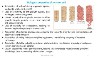 MC-PhD/2017/03 17
Biological properties of a cancer cell
 Acquisition of self-suficiency in growth signals,
leading to unchecked growth
 Loss of sensitivity to anti-growth signals, also
leading to unchecked growth
 Loss of capacity for apoptosis, in order to allow
growth despite genetic errors and external
anti-growth signals
 Loss of capacity for senescence, leading to
limitless replicative potential (immortality)
 Acquisition of sustained angiogenesis, allowing the tumor to grow beyond the limitations of
passive nutrient diffusion
 Acquisition of ability to invade neighboring tissues, the defining property of invasive
carcinoma
 Acquisition of ability to build metastases at distant sites, the classical property of malignant
tumors (carcinomas or others)
 Loss of capacity to repair genetic errors, leading to an increased mutation rate (genomic
instability), thus accelerating all the other changes
 
