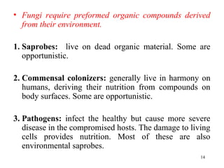 • Fungi require preformed organic compounds derived
from their environment.
1. Saprobes: live on dead organic material. Some are
opportunistic.
2. Commensal colonizers: generally live in harmony on
humans, deriving their nutrition from compounds on
body surfaces. Some are opportunistic.
3. Pathogens: infect the healthy but cause more severe
disease in the compromised hosts. The damage to living
cells provides nutrition. Most of these are also
environmental saprobes.
14
 