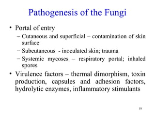 18
Pathogenesis of the Fungi
• Portal of entry
– Cutaneous and superficial – contamination of skin
surface
– Subcutaneous - inoculated skin; trauma
– Systemic mycoses – respiratory portal; inhaled
spores
• Virulence factors – thermal dimorphism, toxin
production, capsules and adhesion factors,
hydrolytic enzymes, inflammatory stimulants
 