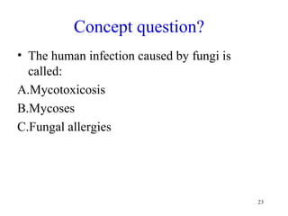 Concept question?
• The human infection caused by fungi is
called:
A.Mycotoxicosis
B.Mycoses
C.Fungal allergies
23
 