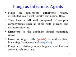3
Fungi as Infectious Agents
• Fungi are non-motile eukaryote, widely
distributed in air, dust, fomites and normal flora.
• They have a cell wall composed of complex
carbohydrates such as chitin with glucans and
mannose-proteins.
• Ergosterol is the dominant fungal membrane
sterol.
• Grow as single cells (yeasts) or multi-septate,
branching filamentous cells (hyphae).
• Fungi are relatively nonpathogenic and humans
are relatively resistant.
 