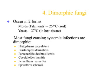 4. Dimorphic fungi
 Occur in 2 forms
Molds (Filaments) – 25 0 C (soil)
Yeasts – 370C (in host tissue)
Most fungi causing systemic infections are
dimorphic:
 Histoplasma capsulatum
 Blastomyces dermatidis
 Paracoccidioides brasiliensis
 Coccidioides immitis
 Penicillium marneffei
 Sporothrix schenkii
 