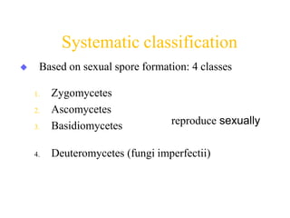 Systematic classification
 Based on sexual spore formation: 4 classes
1. Zygomycetes
2. Ascomycetes
3. Basidiomycetes
4. Deuteromycetes (fungi imperfectii)
reproduce sexually
 