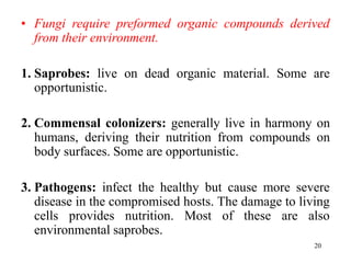 20
• Fungi require preformed organic compounds derived
from their environment.
1. Saprobes: live on dead organic material. Some are
opportunistic.
2. Commensal colonizers: generally live in harmony on
humans, deriving their nutrition from compounds on
body surfaces. Some are opportunistic.
3. Pathogens: infect the healthy but cause more severe
disease in the compromised hosts. The damage to living
cells provides nutrition. Most of these are also
environmental saprobes.
 
