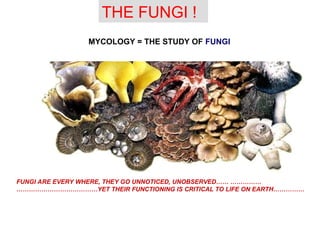INTRODUCTION TO MYCOLOGY WITH CLASSIFICATION.ppt