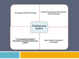 Prolonged antibiotic therapy
Underlying disease HIV infection,
cancer,diabetes
Immunosuppressantagents&
chemotherapy,indwellingcatheters,drug
addiction
Age, obesity, transplant,
occupation
Predisposing
factors
 