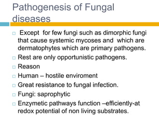 Pathogenesis of Fungal
diseases
 Except for few fungi such as dimorphic fungi
that cause systemic mycoses and which are
dermatophytes which are primary pathogens.
 Rest are only opportunistic pathogens.
 Reason
 Human – hostile enviroment
 Great resistance to fungal infection.
 Fungi: saprophytic
 Enzymetic pathways function –efficiently-at
redox potential of non living substrates.
 