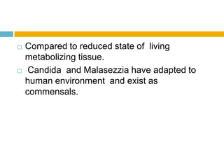  Compared to reduced state of living
metabolizing tissue.
 Candida and Malasezzia have adapted to
human environment and exist as
commensals.
 
