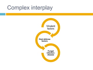 Complex interplay
Virulent
factors
Host defense
factors
Fungal
infection-
disease
 