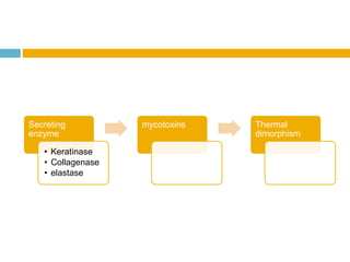 Secreting
enzyme
• Keratinase
• Collagenase
• elastase
mycotoxins Thermal
dimorphism
 