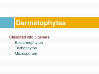 Classified into 3 genera
1. Epidermophyton
2. Trichophyton
3. Microsporum
Dermatophytes
 