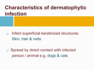  Infect superficial keratinized structures
Skin, hair & nails
 Spread by direct contact with infected
person / animal e.g. dogs & cats
Characteristics of dermatophytic
infection
 
