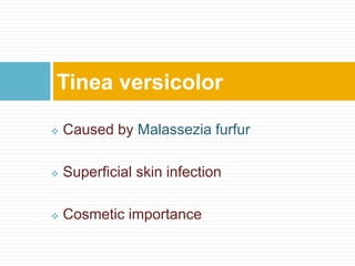  Caused by Malassezia furfur
 Superficial skin infection
 Cosmetic importance
Tinea versicolor
 