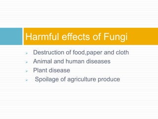  Destruction of food,paper and cloth
 Animal and human diseases
 Plant disease
 Spoilage of agriculture produce
Harmful effects of Fungi
 
