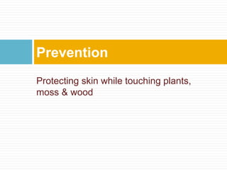Protecting skin while touching plants,
moss & wood
Prevention
 