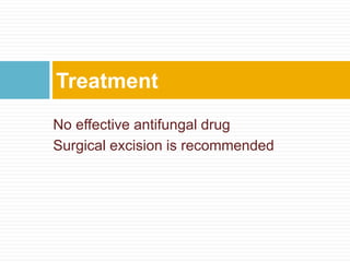 No effective antifungal drug
Surgical excision is recommended
Treatment
 