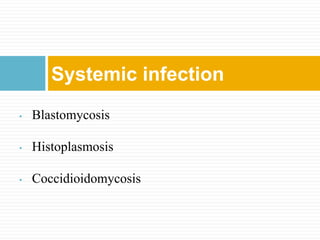 Systemic infection
• Blastomycosis
• Histoplasmosis
• Coccidioidomycosis
 