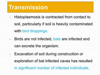  Histoplasmosis is contracted from contact to
soil, particularly if soil is heavily contaminated
with bird droppings.
 Birds are not infected, bats are infected and
can excrete the organism.
 Excavation of soil during construction or
exploration of bat infected caves has resulted
in significant number of infected individuals.
Transmission
 