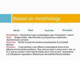 Based on morphology
Yeast
Mould Yeast like Dimorphic
Mould(Molds) : Filamentous fungi e.g Aspergillus spps,Trichophyton rubrum
Yeast: Singled celled cells that buds e.g Crytococcus neoformans
,Saccharmyces cerviciae
Yeast Like: Similar to yeast but produce pseudohyphae E.g Candida
albicans
Dimorphic: Fungi existing in two different morphological forms at two
different environmental conditions. They exist as yeast in tissue and in vitro at
37 C and as moulds in their natural habitat and in vitro at room temperature.
e.G Histoplasma capsulatum, Blastomyces dermatiditis,Paracoccidiodes.
 