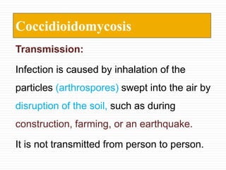 Coccidioidomycosis
Transmission:
Infection is caused by inhalation of the
particles (arthrospores) swept into the air by
disruption of the soil, such as during
construction, farming, or an earthquake.
It is not transmitted from person to person.
 