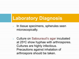  In tissue specimens, spherules seen
microscopically.
 Culture on Sabouraud’s agar incubated
at 25oC show hyphae with arthrospores.
Cultures are highly infectious.
Precautions against inhalation of
arthrospore should be taken.
Laboratory Diagnosis
 