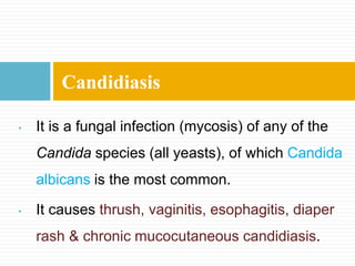 Candidiasis
• It is a fungal infection (mycosis) of any of the
Candida species (all yeasts), of which Candida
albicans is the most common.
• It causes thrush, vaginitis, esophagitis, diaper
rash & chronic mucocutaneous candidiasis.
 