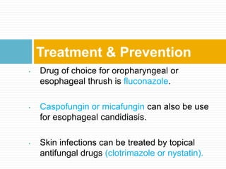 • Drug of choice for oropharyngeal or
esophageal thrush is fluconazole.
• Caspofungin or micafungin can also be use
for esophageal candidiasis.
• Skin infections can be treated by topical
antifungal drugs (clotrimazole or nystatin).
Treatment & Prevention
 