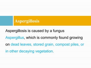 Aspergillosis
Aspergillosis is caused by a fungus
Aspergillus, which is commonly found growing
on dead leaves, stored grain, compost piles, or
in other decaying vegetation.
 