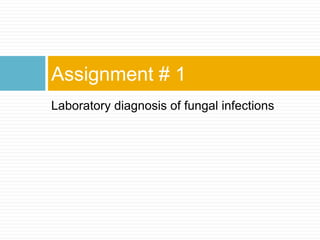Laboratory diagnosis of fungal infections
Assignment # 1
 