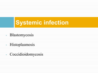 Blastomycosis
It is a fungal infection, also known as
North American Blastomycosis caused
by the organism Blastomyces
derm...