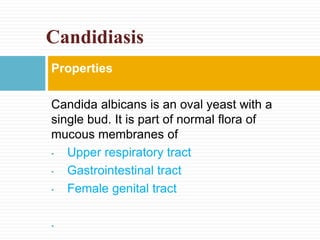 Presence of candida on skin predispose to
infections involving instruments that
penetrate skin such as needles and
indwell...