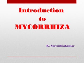 K. Surendirakumar
Introduction
to
MYCORRHIZA
 