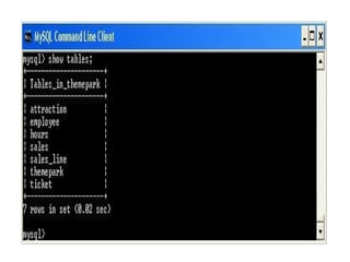 Mysql Command Ppt Introduction to MySQL commands mysql presentation 22.pptx