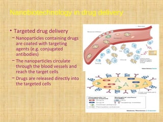 • Targeted drug delivery
− Nanoparticles containing drugs
are coated with targeting
agents (e.g. conjugated
antibodies)
− The nanoparticles circulate
through the blood vessels and
reach the target cells
− Drugs are released directly into
the targeted cells
Nanobiotechnology in drug delivery
 