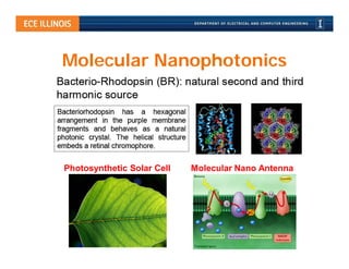 Molecular Nanophotonics




Photosynthetic Solar Cell   Molecular Nano Antenna
 