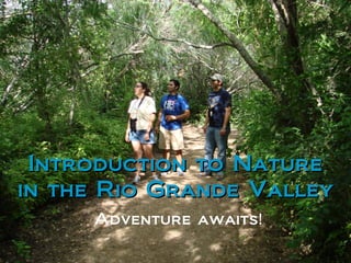 Introduction to Nature in the Rio Grande Valley Adventure awaits ! 