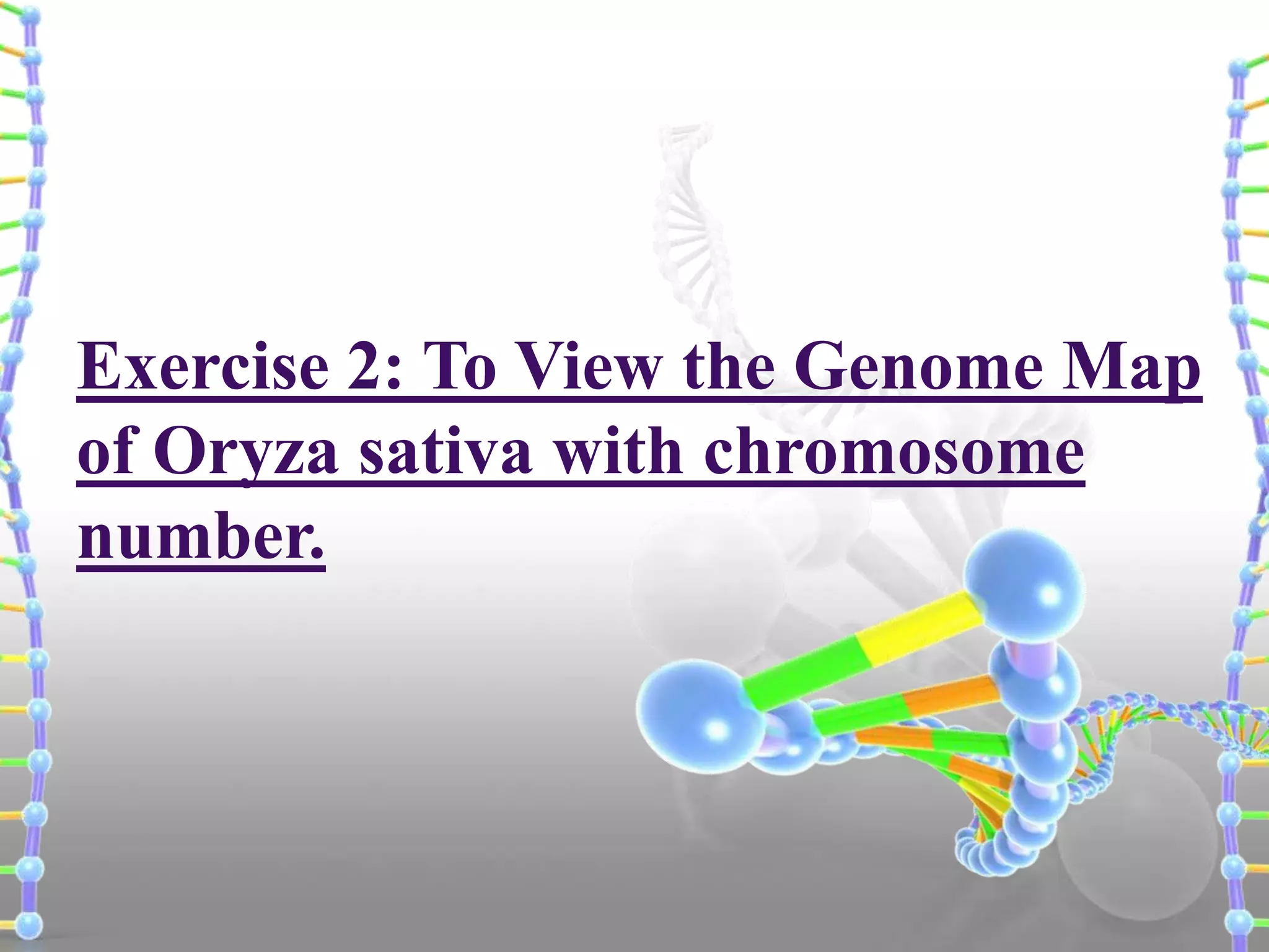 Exercise 2: To View the Genome Map
of Oryza sativa with chromosome
number.

 