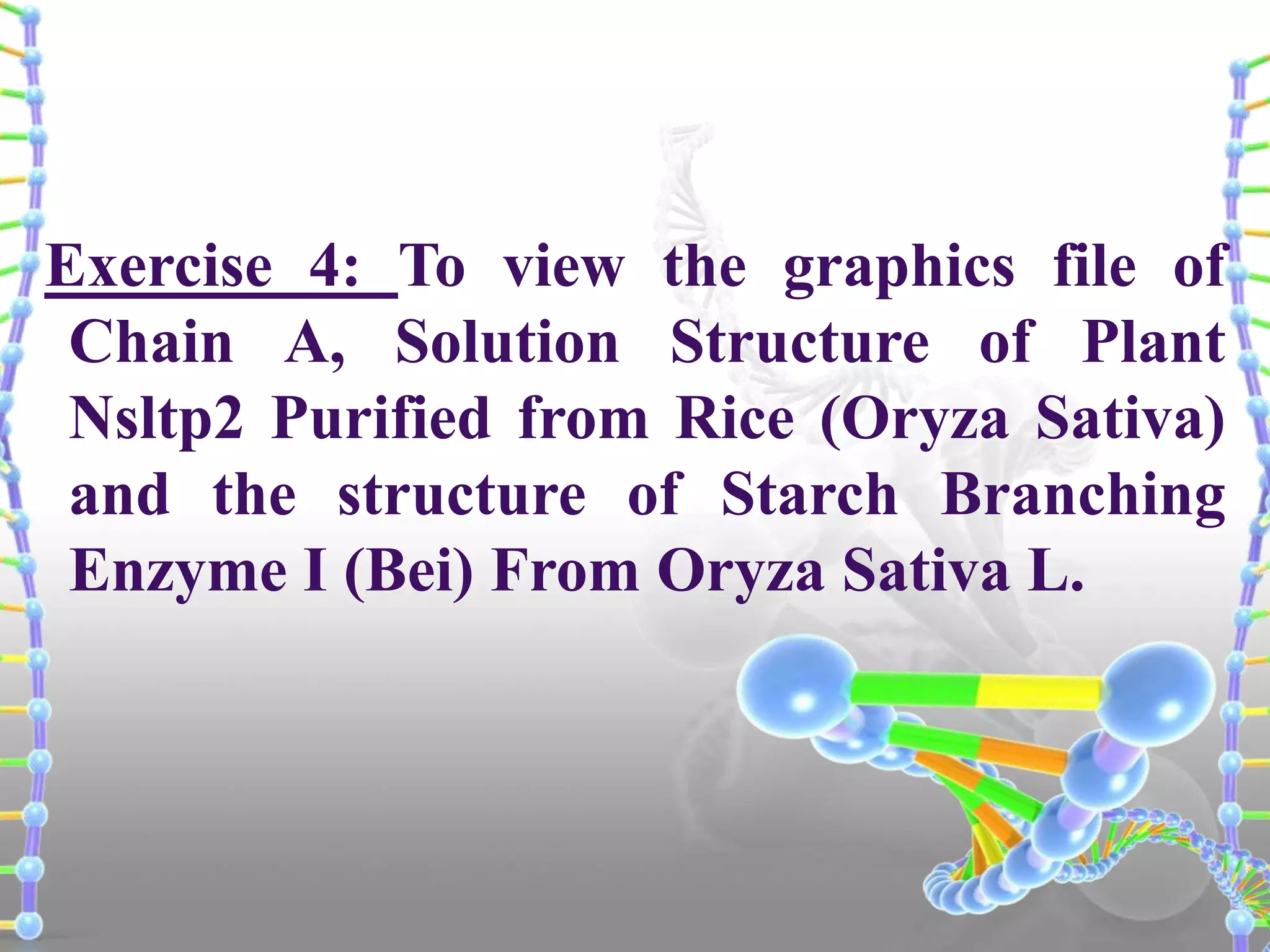 Exercise 4: To view the graphics file of
Chain A, Solution Structure of Plant
Nsltp2 Purified from Rice (Oryza Sativa)
and the structure of Starch Branching
Enzyme I (Bei) From Oryza Sativa L.

 