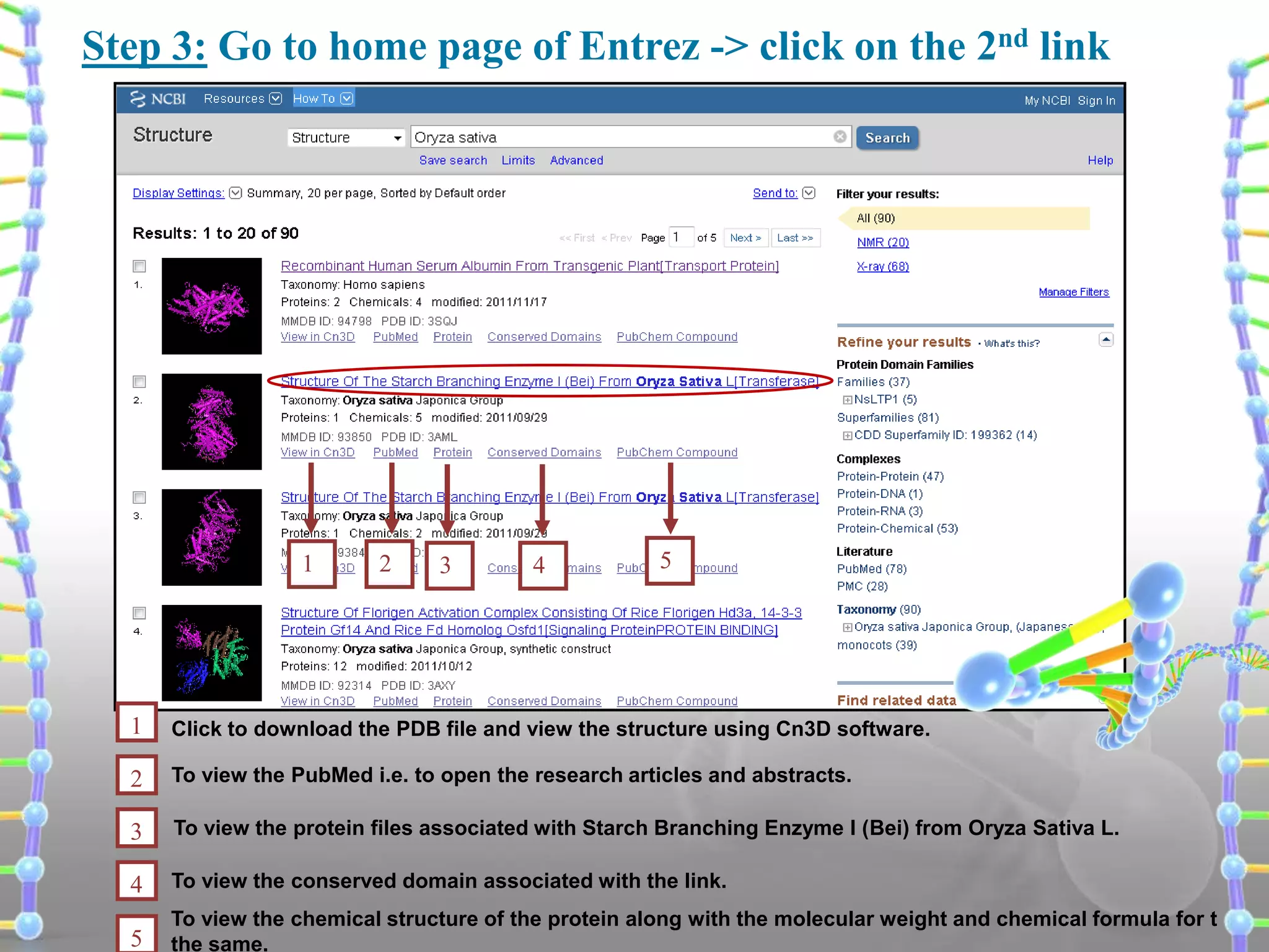 Step 3: Go to home page of Entrez -> click on the 2nd link

1

2

3

4

5

1

Click to download the PDB file and view the structure using Cn3D software.

2

To view the PubMed i.e. to open the research articles and abstracts.

3

To view the protein files associated with Starch Branching Enzyme I (Bei) from Oryza Sativa L.

4

To view the conserved domain associated with the link.

5

To view the chemical structure of the protein along with the molecular weight and chemical formula for t
the same.

 