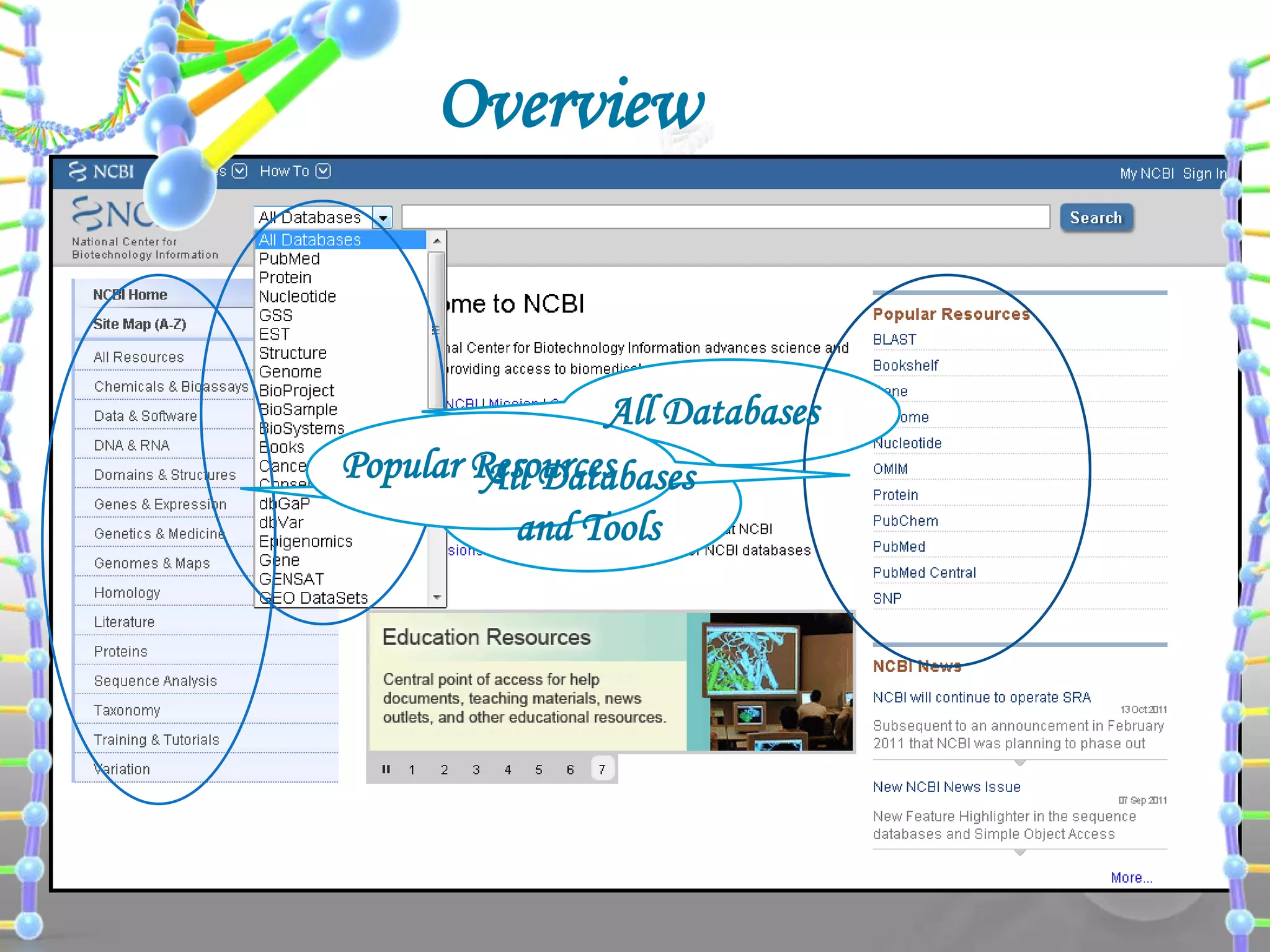 Overview

All Databases
Popular Resources
All Databases
and Tools

 