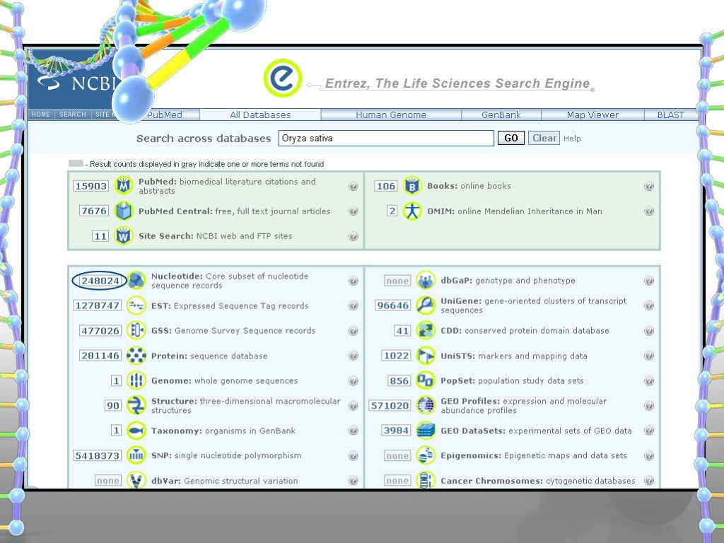 Introduction To NCBI
