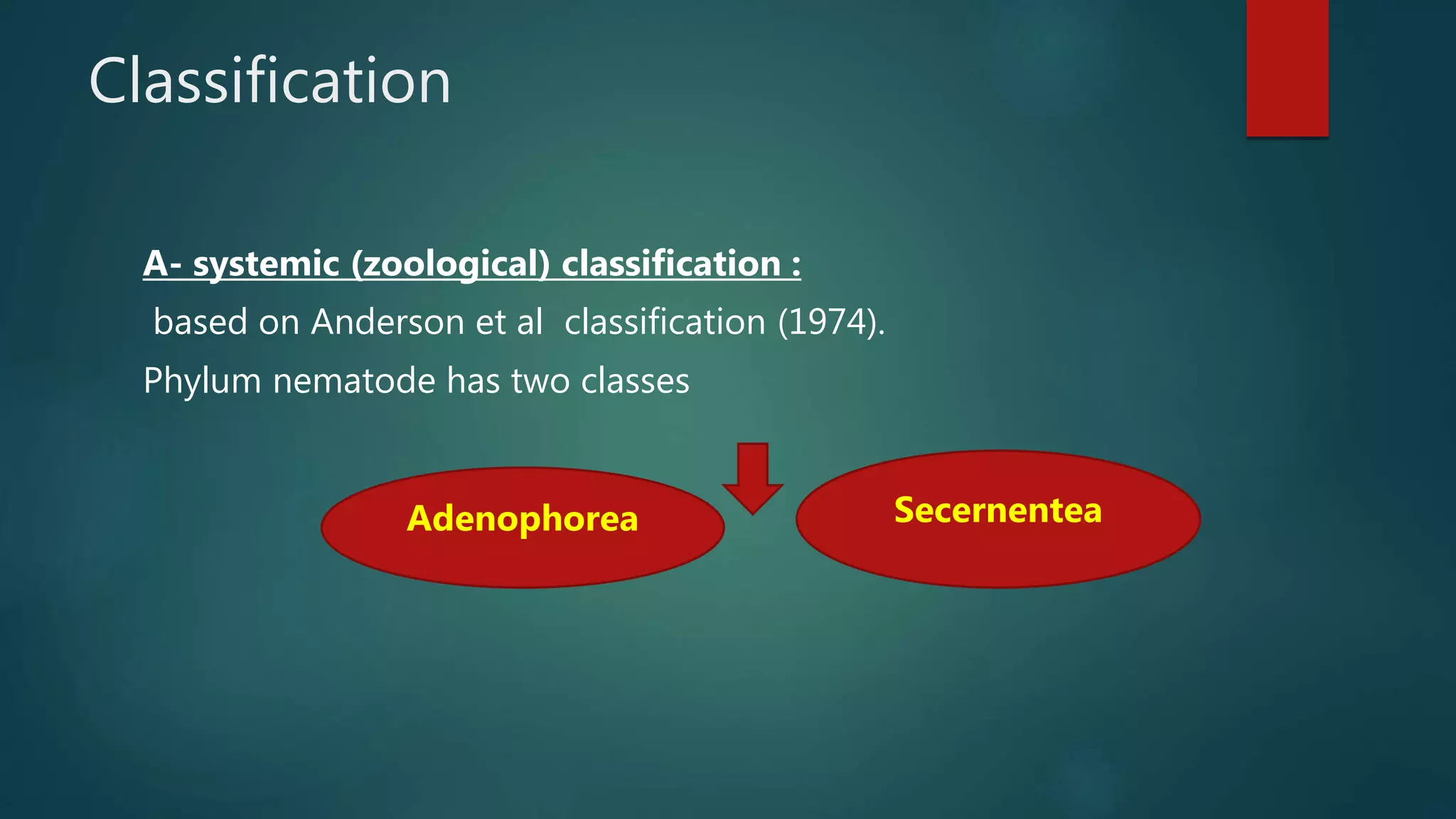 Nosode Classification Introduction to nematodes | PPTX