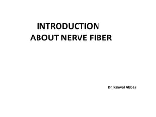 INTRODUCTION
ABOUT NERVE FIBER
Dr. kanwal Abbasi
 