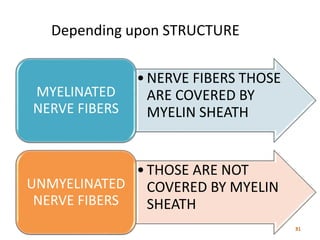 •NERVE FIBERS THOSE
ARE COVERED BY
MYELIN SHEATH
MYELINATED
NERVE FIBERS
•THOSE ARE NOT
COVERED BY MYELIN
SHEATH
UNMYELINATED
NERVE FIBERS
Depending upon STRUCTURE
 