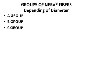 • A GROUP
• B GROUP
• C GROUP
GROUPS OF NERVE FIBERS
Depending of Diameter
 